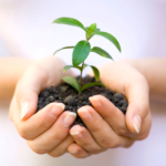 Why Your Business Won’t Grow!