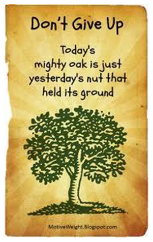 Don’t give up too soon